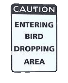 Caution entering bird dropping area